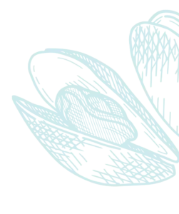 Maree Bleue Poissonnerie En Ligne Yvrac Facebook Section Motif Maree Bleue Poissonnerie En Ligne Yvrac Facebook Section Motif