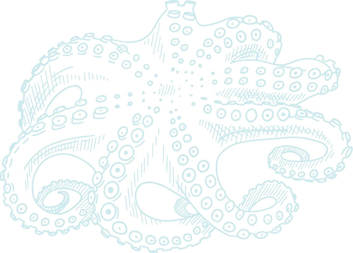 Maree Bleue Poissonnerie En Ligne Yvrac Motif Maree Bleue Poissonnerie En Ligne Yvrac Motif