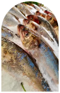 Maree Bleue Poissonnerie En Ligne Yvrac Poissonnerie Maree Bleue Poissonnerie En Ligne Yvrac Poissonnerie