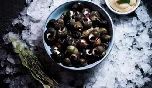 Maree Bleue Poissonnerie En Ligne Yvrac 2f96387de5f29fea67b9e075d8066b81