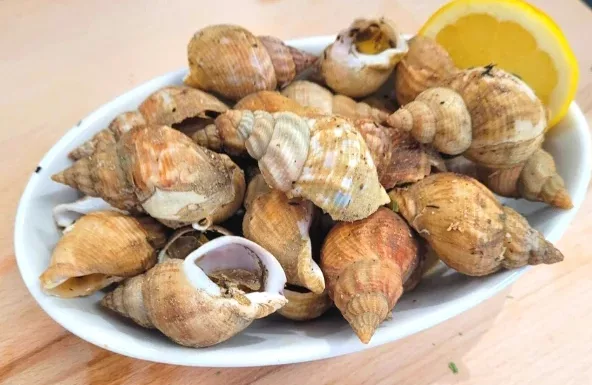 Maree Bleue Poissonnerie En Ligne Yvrac 4440df39380a26bd0beb3fbced7f28a3