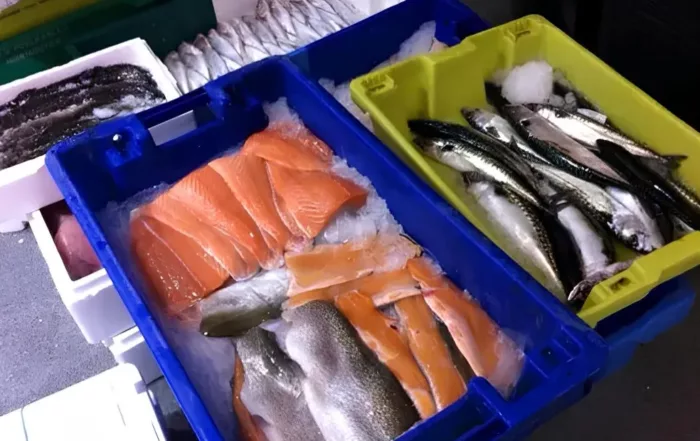 Maree Bleue Poissonnerie En Ligne Yvrac Dans Les Coulisses De Maree Bleue