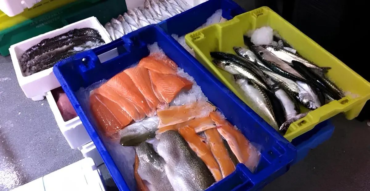 Maree Bleue Poissonnerie En Ligne Yvrac Dans Les Coulisses De Maree Bleue