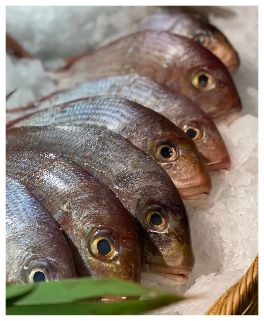 Maree Bleue Poissonnerie En Ligne Yvrac Lhistoire Dune Passion Marine 1 Maree Bleue Poissonnerie En Ligne Yvrac Lhistoire Dune Passion Marine 1
